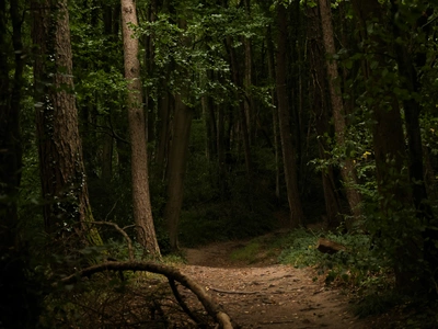 Walking Around Tintern: Scenic Trails, Hidden Gems, and Celtic Adventures
