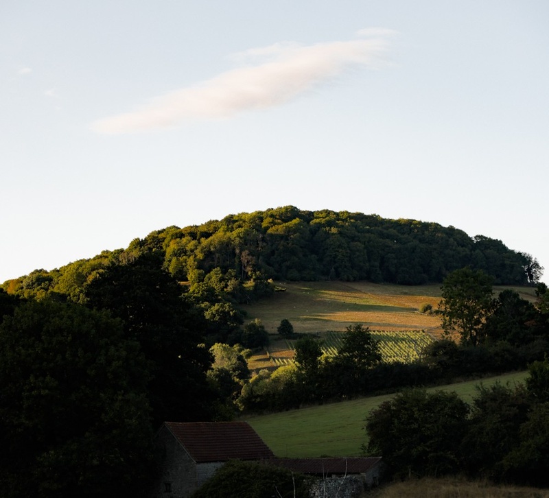 View of Tintern Hills from The Royal George